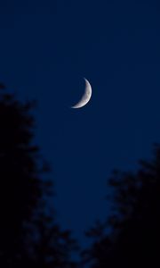 Preview wallpaper moon, crescent, night, sky, dark, outlines