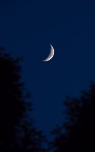 Preview wallpaper moon, crescent, night, sky, dark, outlines