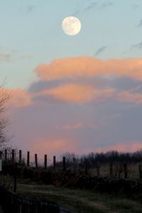 Preview wallpaper moon, dusk, nature, fence, clouds