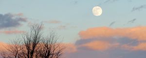 Preview wallpaper moon, dusk, nature, fence, clouds