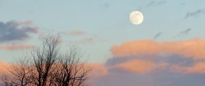 Preview wallpaper moon, dusk, nature, fence, clouds