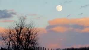 Preview wallpaper moon, dusk, nature, fence, clouds