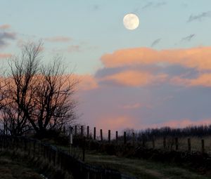 Preview wallpaper moon, dusk, nature, fence, clouds