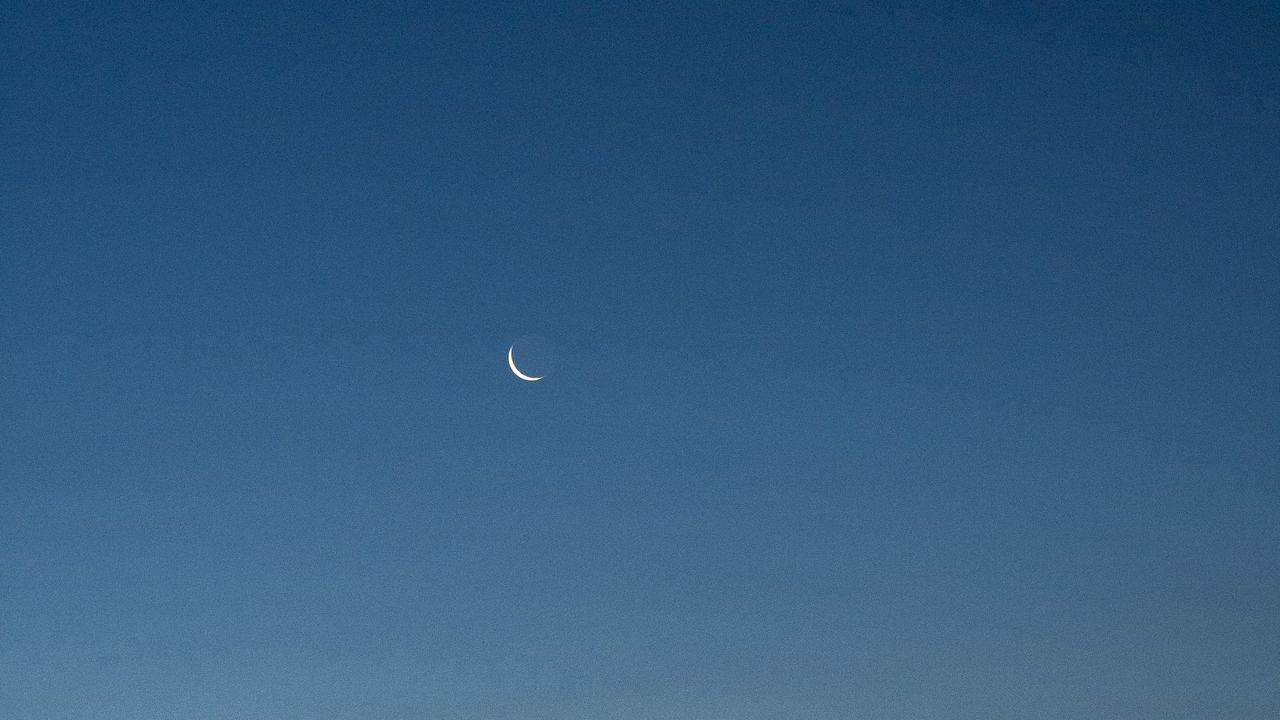 Wallpaper moon, dusk, sky, bushes