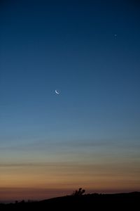 Preview wallpaper moon, dusk, sky, bushes