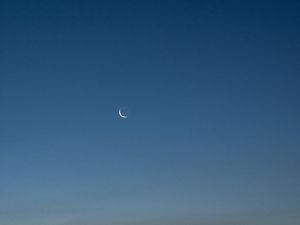 Preview wallpaper moon, dusk, sky, bushes