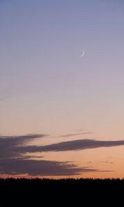 Preview wallpaper moon, evening, grass, clouds