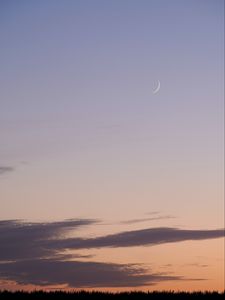 Preview wallpaper moon, evening, grass, clouds
