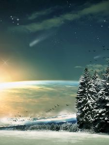 Preview wallpaper moon, fir-trees, birds, wood, sun, light, winter, snow, fantasy, stars, descent