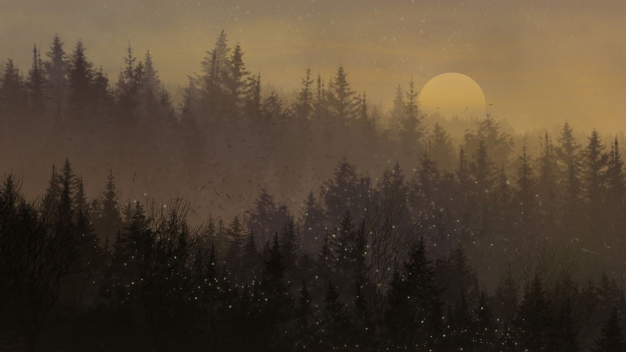 Wallpaper moon, forest, trees, snow