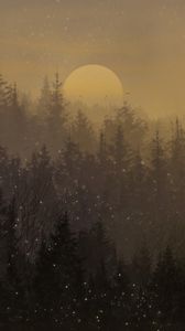 Preview wallpaper moon, forest, trees, snow