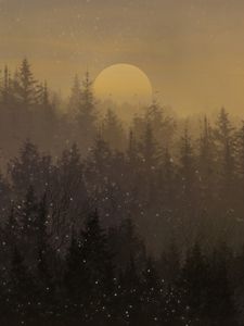 Preview wallpaper moon, forest, trees, snow