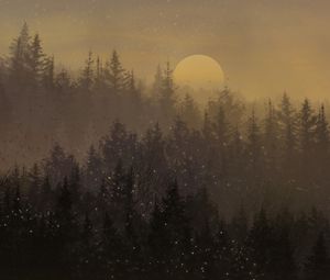 Preview wallpaper moon, forest, trees, snow