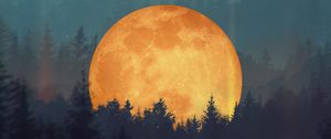 Preview wallpaper moon, forest, trees, illusion, art