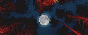 Preview wallpaper moon, full moon, bottom view, trees, light