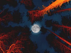 Preview wallpaper moon, full moon, bottom view, trees, light
