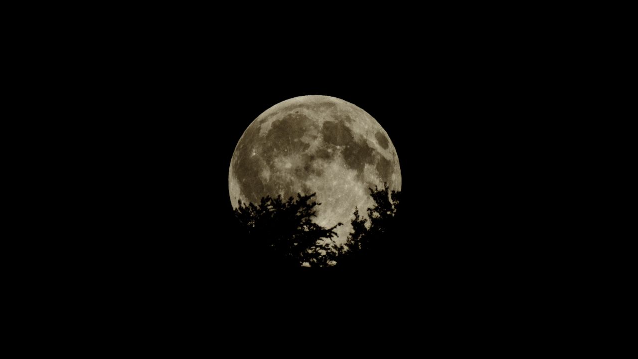 Wallpaper moon, full moon, branches, dark