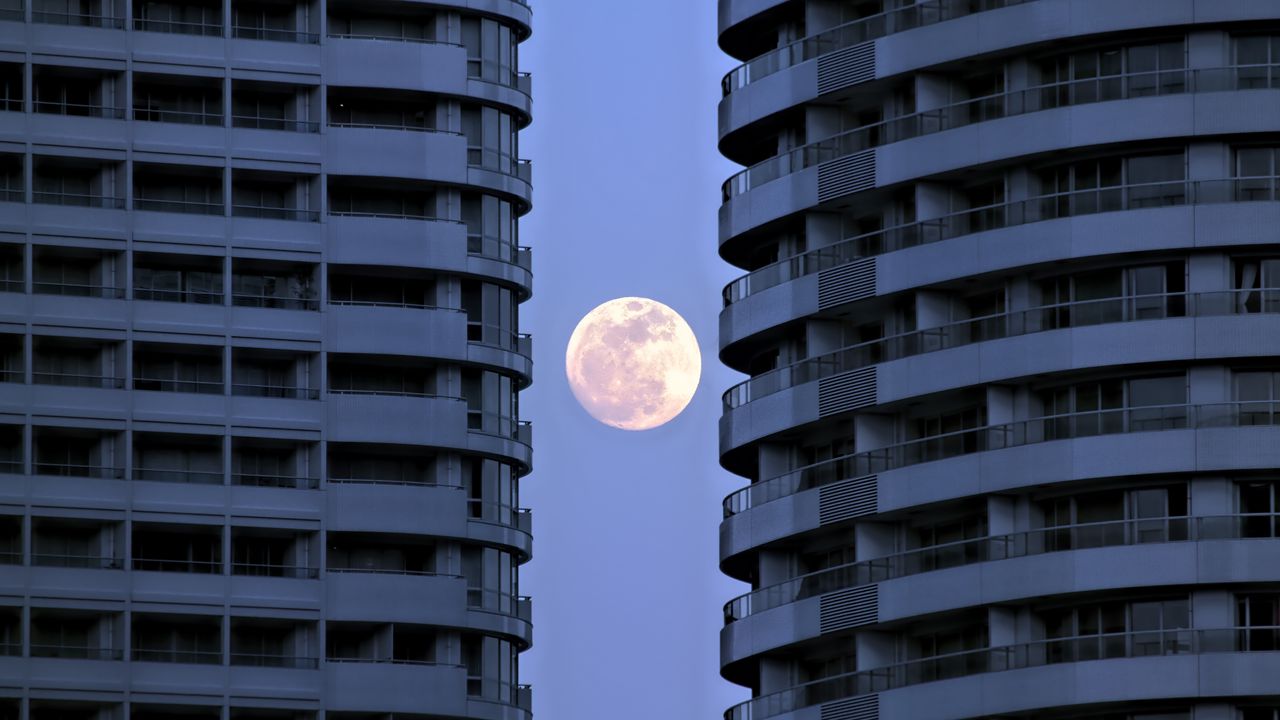 Wallpaper moon, full moon, buildings, sky