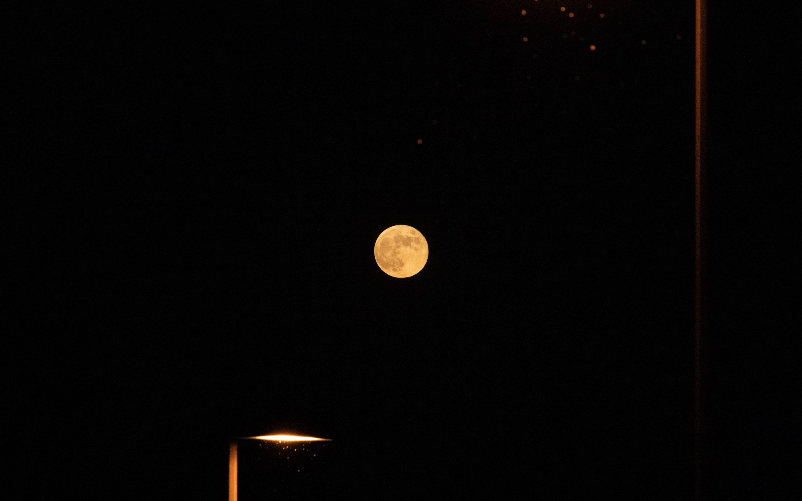 download-wallpaper-2560x1600-moon-full-moon-lantern-black-night