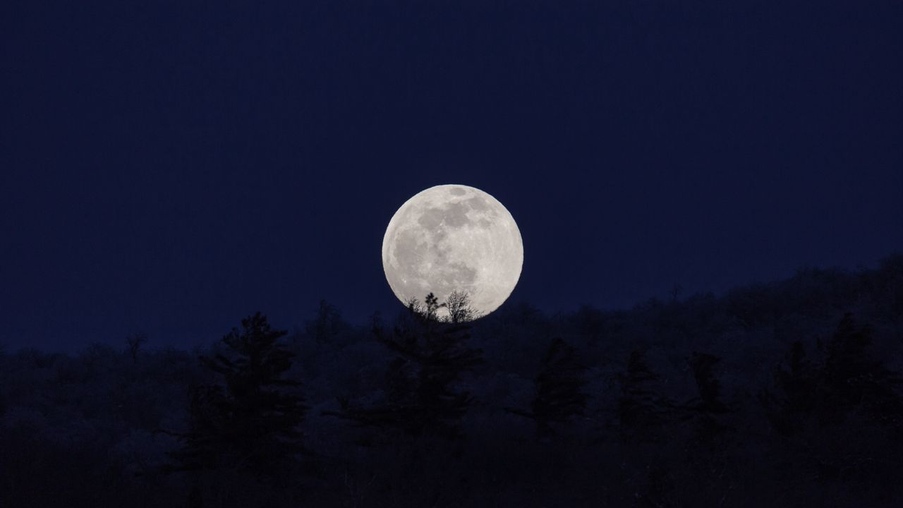 Wallpaper moon, full moon, night, nature, dark