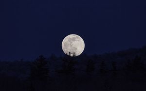 Preview wallpaper moon, full moon, night, nature, dark