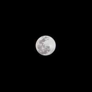 Preview wallpaper moon, full moon, night, bw
