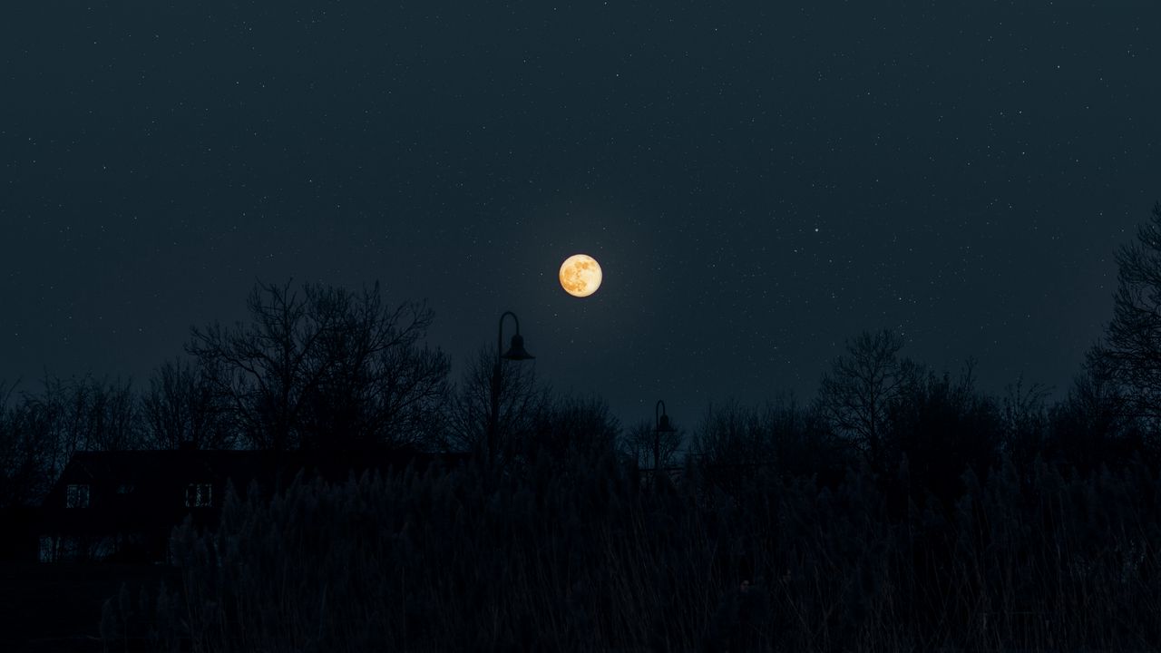 Wallpaper moon, full moon, starry sky, night, darkness, silhouettes