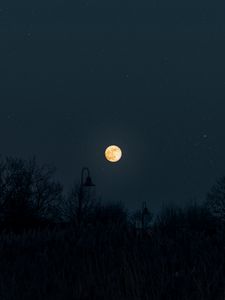 Preview wallpaper moon, full moon, starry sky, night, darkness, silhouettes