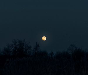 Preview wallpaper moon, full moon, starry sky, night, darkness, silhouettes