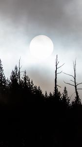 Preview wallpaper moon, full moon, trees