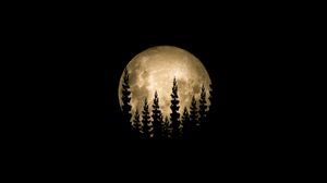 Preview wallpaper moon, full moon, trees, silhouette, black