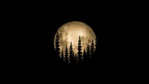 Preview wallpaper moon, full moon, trees, silhouette, black