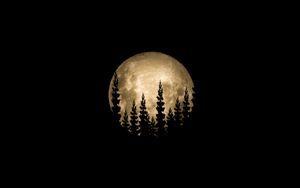 Preview wallpaper moon, full moon, trees, silhouette, black