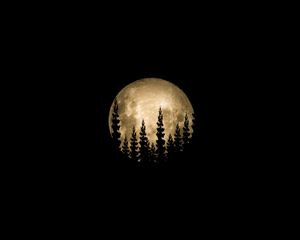 Preview wallpaper moon, full moon, trees, silhouette, black