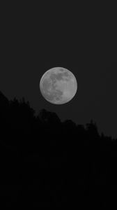 Preview wallpaper moon, full moon, trees, bw