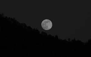 Preview wallpaper moon, full moon, trees, bw