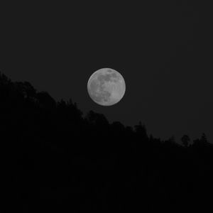 Preview wallpaper moon, full moon, trees, bw