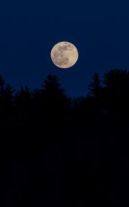 Preview wallpaper moon, full moon, trees, silhouettes, night, dark