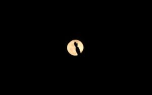 Preview wallpaper moon, hand, silhouette, dark, darkness