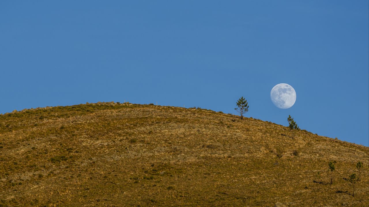 Wallpaper moon, hill, trees, full moon