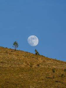 Preview wallpaper moon, hill, trees, full moon