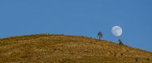 Preview wallpaper moon, hill, trees, full moon