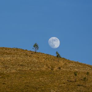 Preview wallpaper moon, hill, trees, full moon