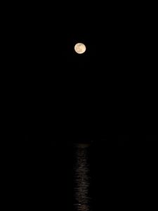 Preview wallpaper moon, lake, night, darkness, black