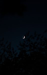 Preview wallpaper moon, month, trees, silhouettes, night, dark