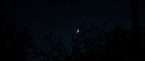 Preview wallpaper moon, month, trees, silhouettes, night, dark