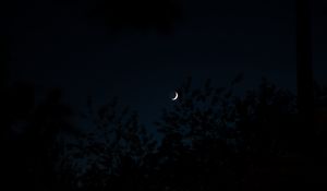 Preview wallpaper moon, month, trees, silhouettes, night, dark