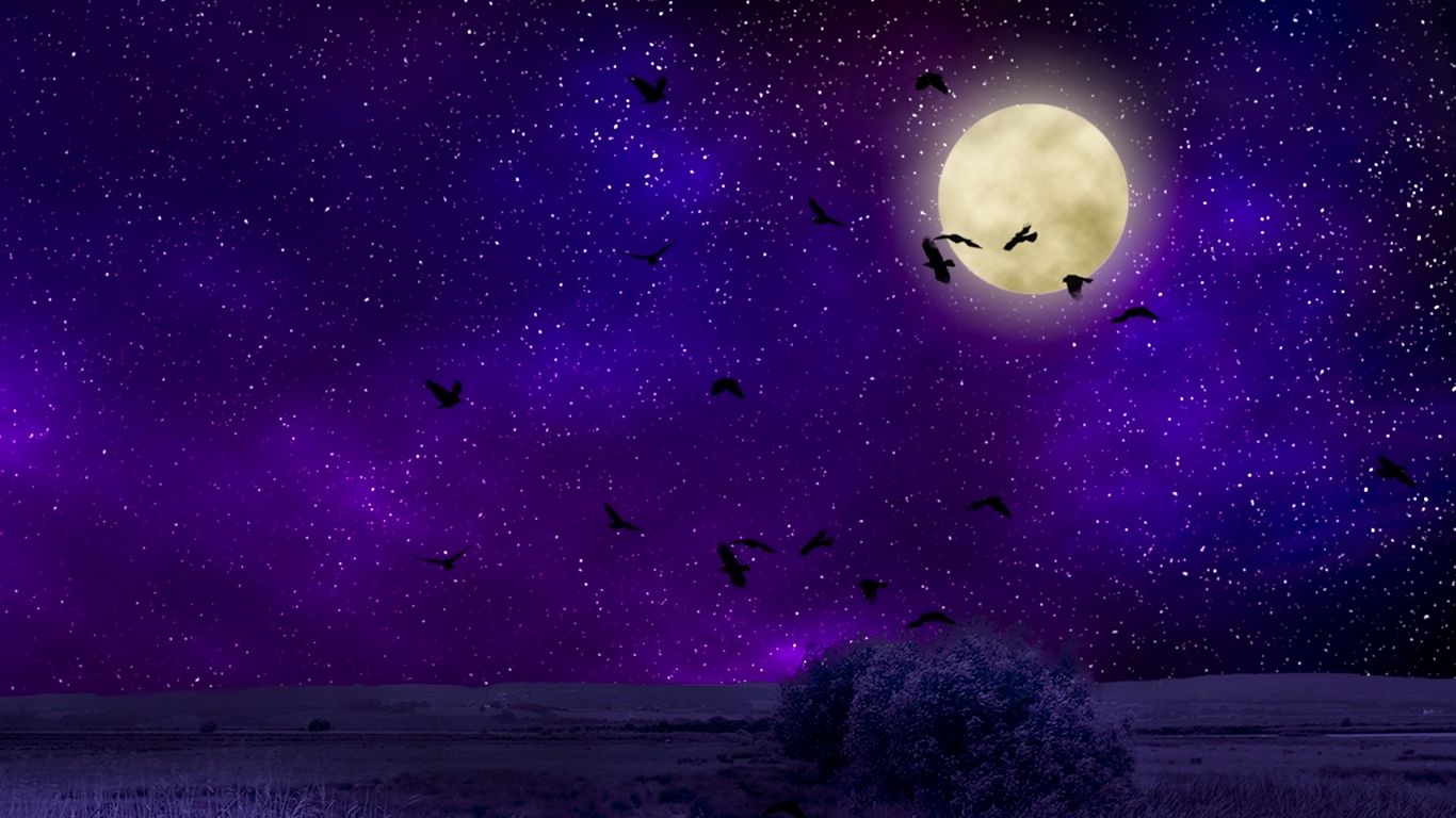 Download wallpaper 1366x768 moon, moonlight, birds, starry sky, night,  photoshop tablet, laptop hd background