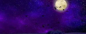 Preview wallpaper moon, moonlight, birds, starry sky, night, photoshop