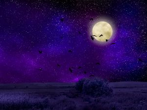 Preview wallpaper moon, moonlight, birds, starry sky, night, photoshop
